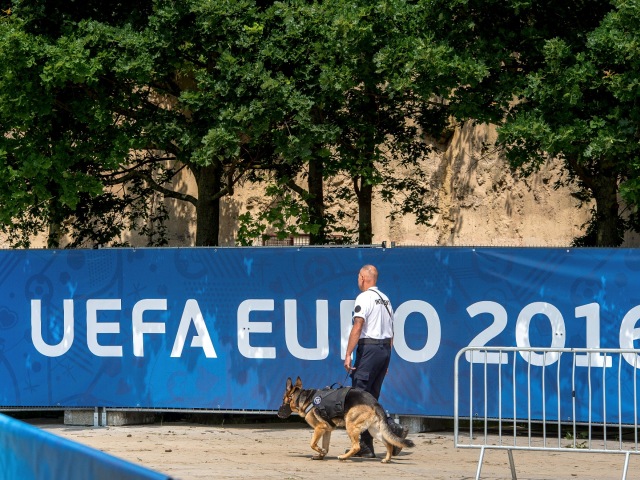 uefa euro 2016, bezpečnosť, policajt