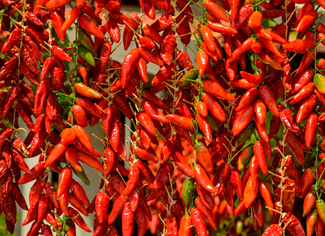 čili papričky, chilli papriky, feferónky, feferóny, zelenina, pálivé, štipľavé