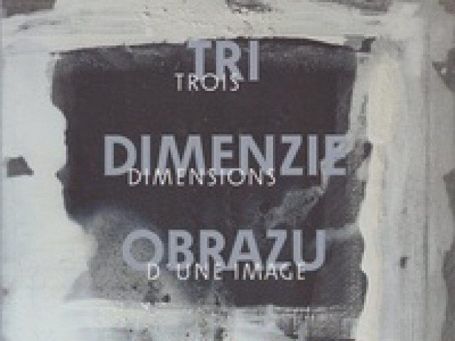 Kolektív autorov: Tri dimenzie obrazu