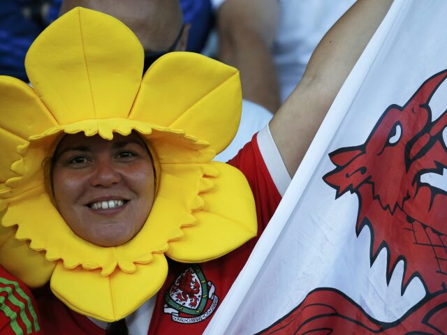 Wales, fanúšička,