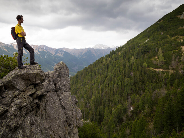 tatry, limba, prales, kriváň