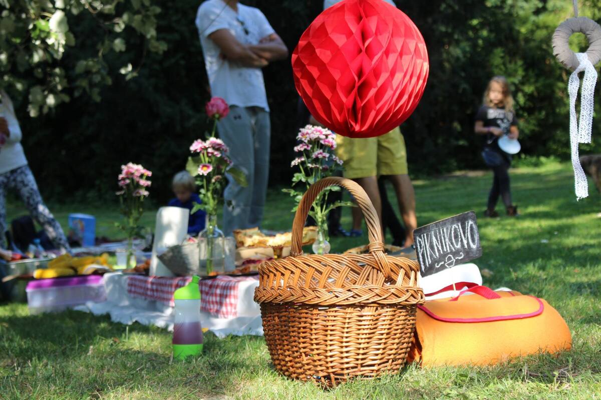 Petra Millerová, piknik