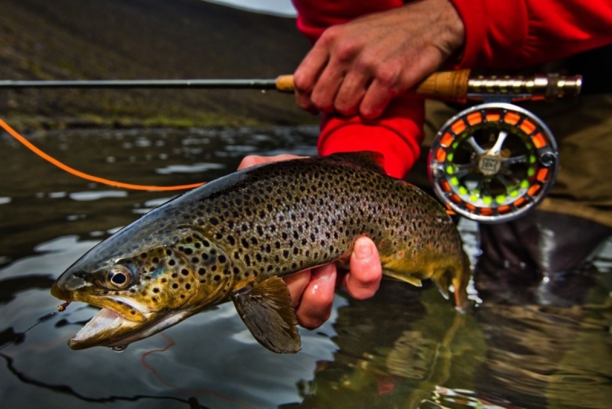Bentley Bentayga Fly Fishing by Mulliner - 2016
