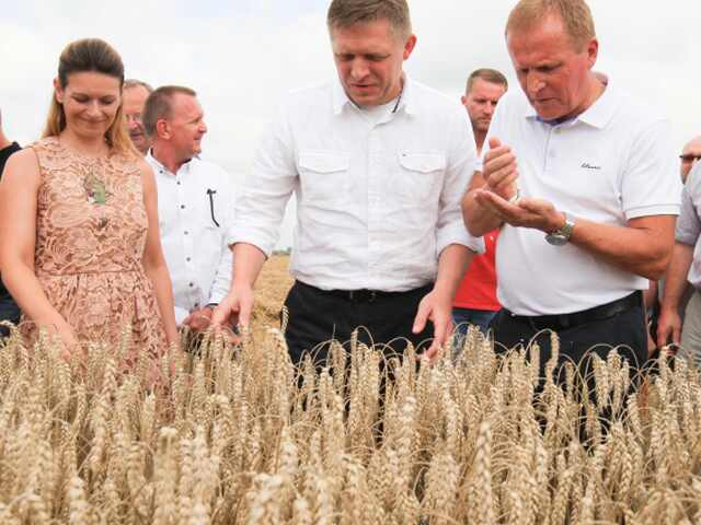 Robert Fico, žatva