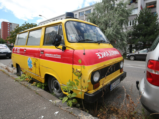 sanitka
