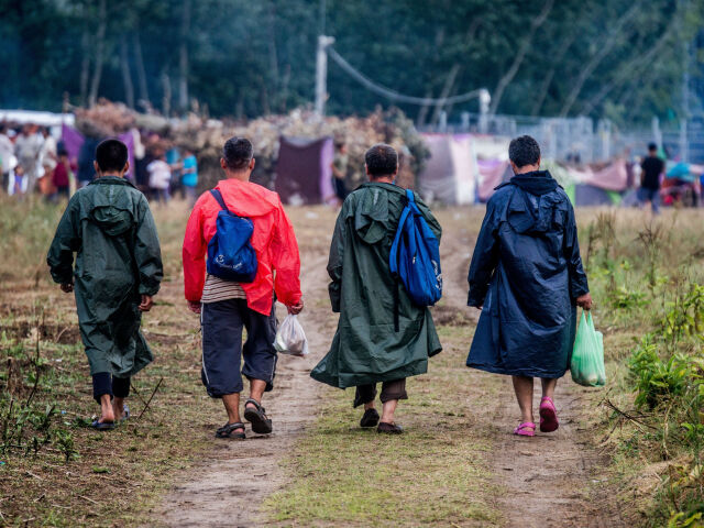migranti