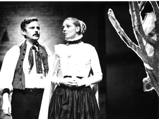 Holuby a Šulek (1981) -  Juraj Slezáček (Šulek), Zdena Studenková (Klementína).