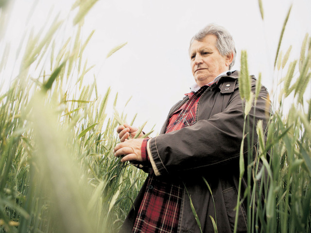Jaromír Matoušek