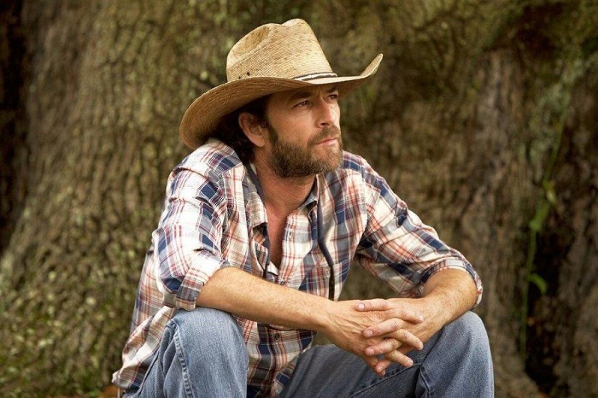 Rok 2016: Herec Luke Perry 