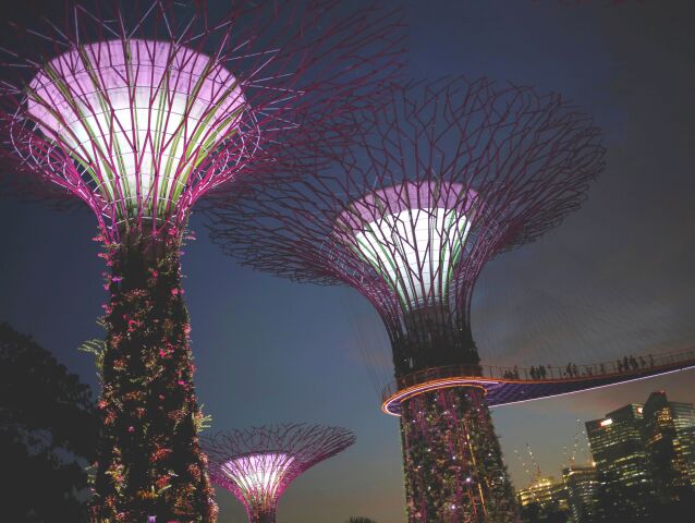 Singapur, stromy,