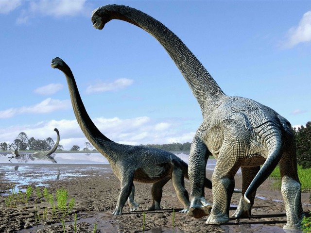 dinosaurus, dinosaury