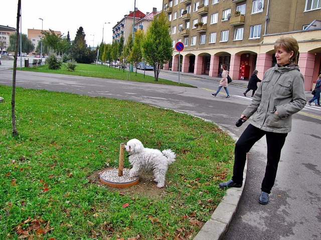 žena, pes, park, mesto, Nová Dubnica