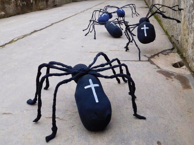 pavúky, múzeum, Halloween,