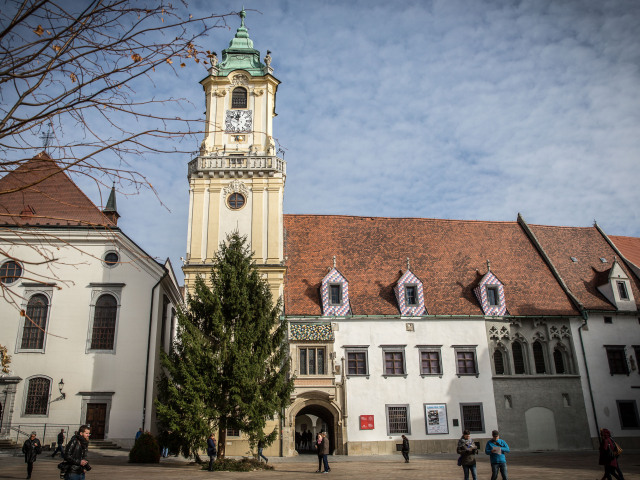Osadenie vianočného stromčeka, vianočný stromček, bratislava,
