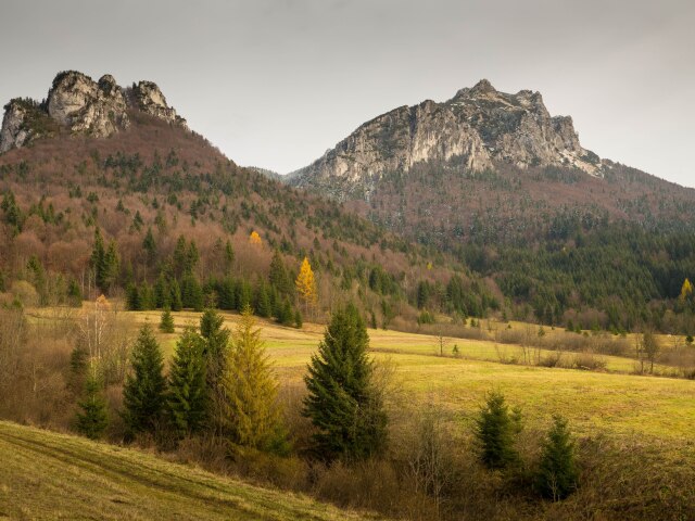 Veľký Rozsutec, polia, pasienky