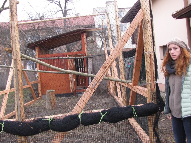 voliéra, Erika Feriancová