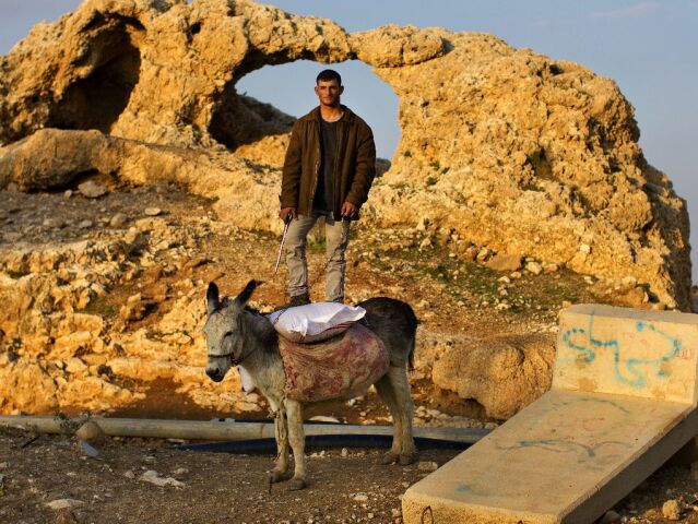 Izrael, osol, somár, Palestínčan