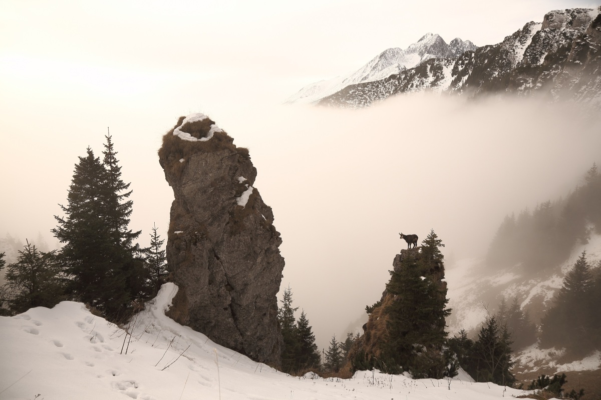 Tatry