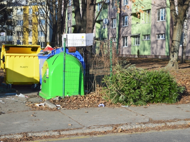 stromčeky, odpad, kontajner