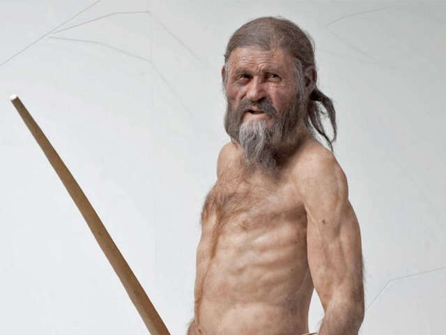 Otzi, Ľadový muž