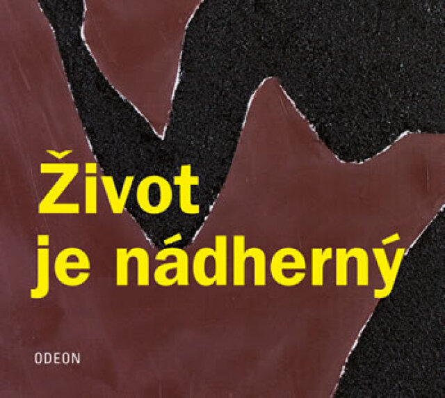 Tereza Boučková Život je nádherný