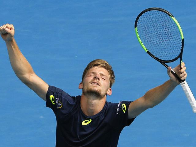 David Goffin