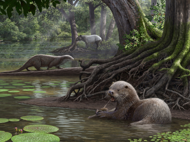 prehistorická vydra, močiar, vegetácia