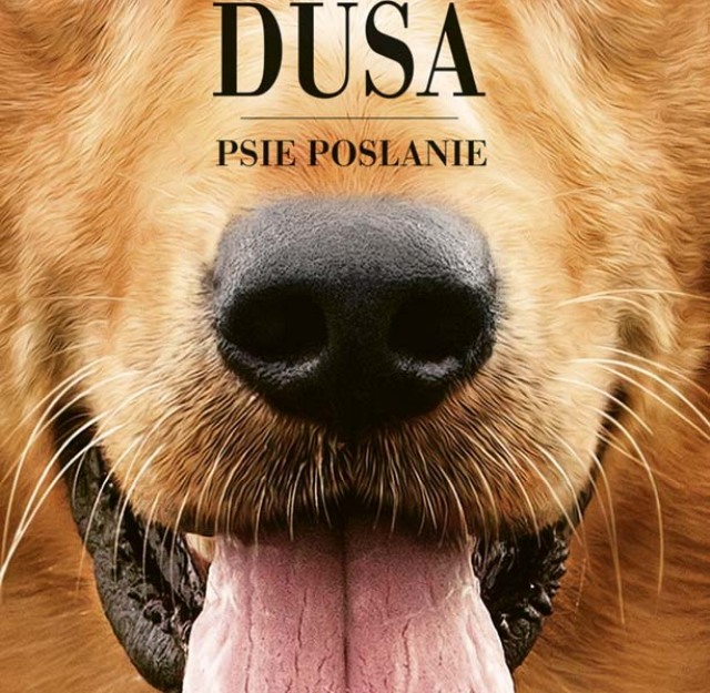 Bruce Cameron, Psia duša