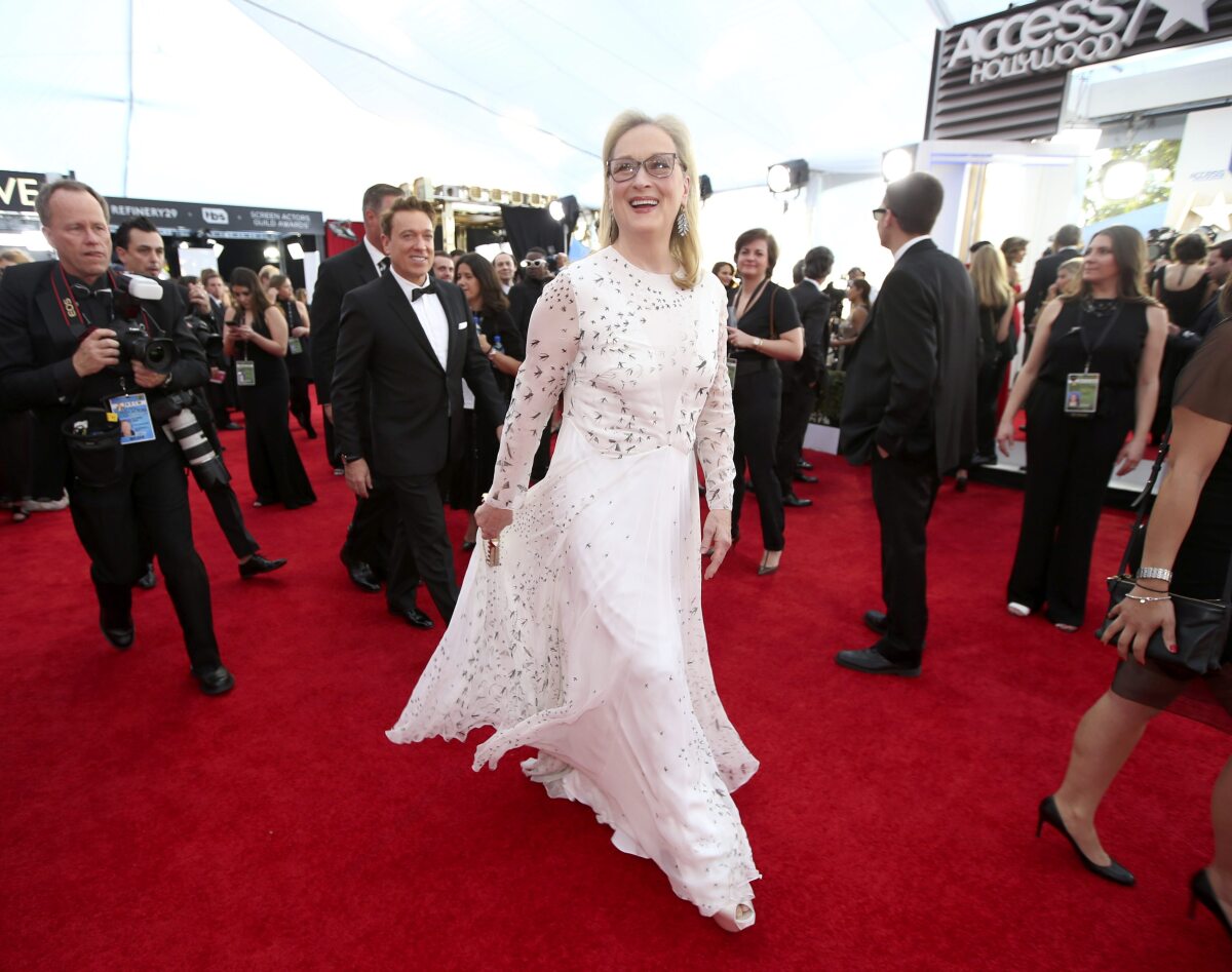 Herečka Meryl Streep sa obliekla do šiat Valentino.