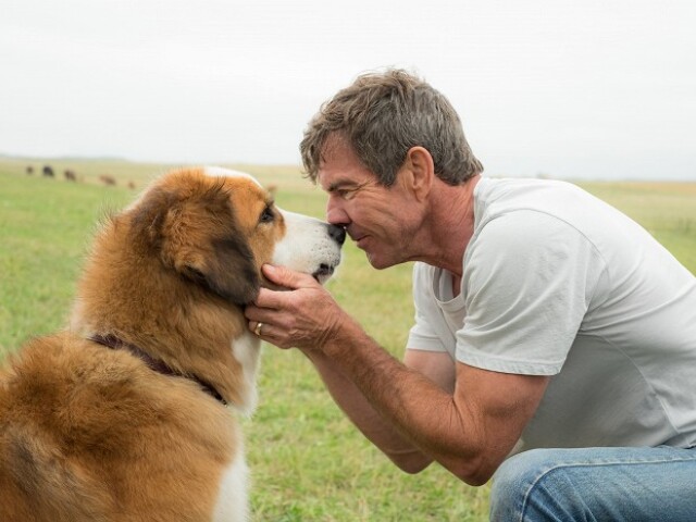 Dennis Quaid