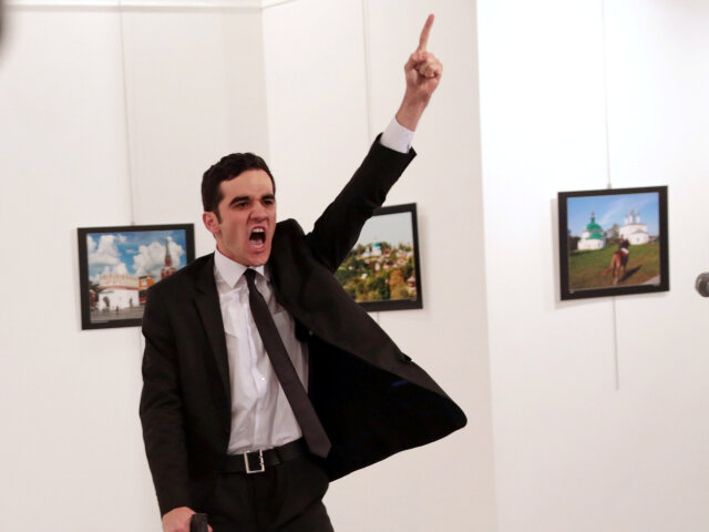 Andrej Karlov, Mevlut Mert Altintas, world press photo,