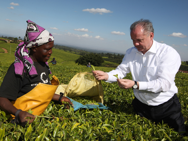 Andrej Kiska, prezident, Keňa, plantáž, čajovník