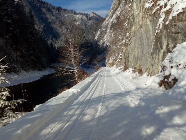 bežkovanie, zima, sneh, pieniny, spiš