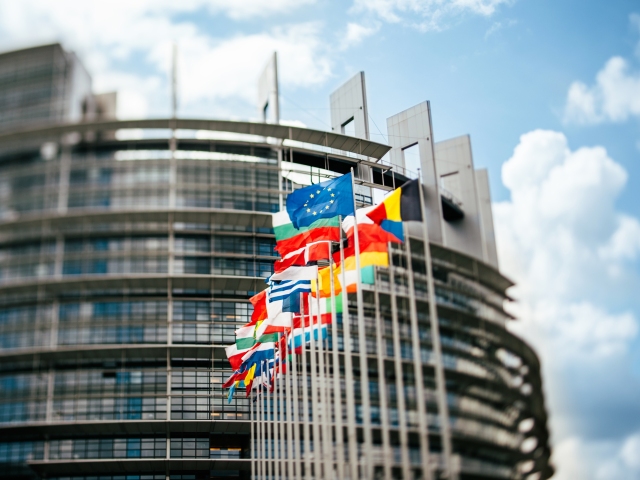 Európsky parlament, vlajky, zástavy