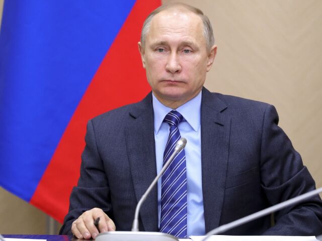 Vladimir Putin, Putin