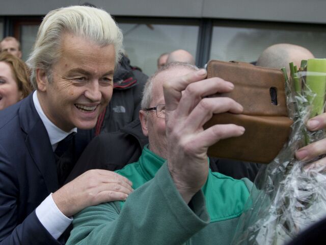 Wilders, holandsko