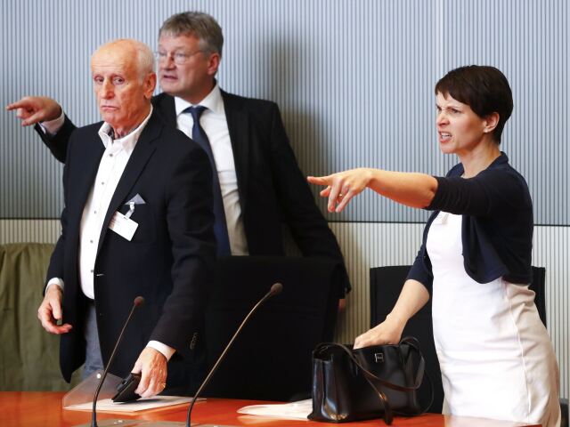 Frauke Petryová, AfD, politici, hádka