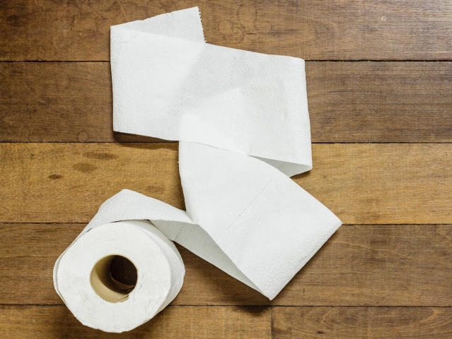 WC, toaleta, záchod, toaletný papier, črevo, konečník