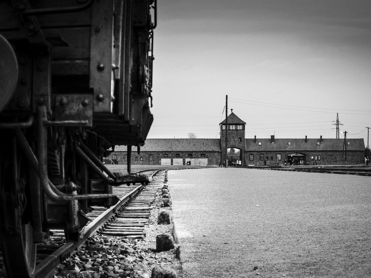 kolaje, koncentračný tábor, auschwitz