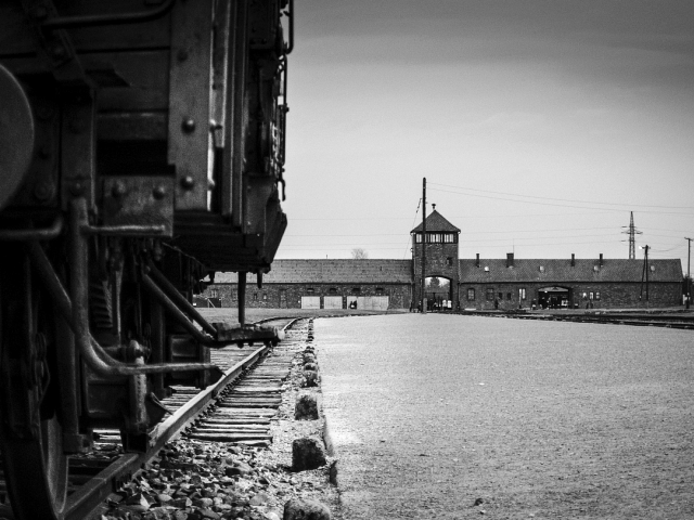 kolaje, koncentračný tábor, auschwitz