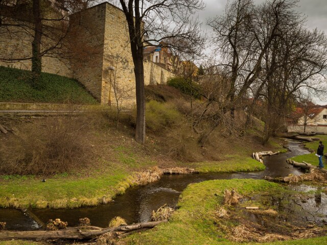 Chrudim, záhon, riečka, potok