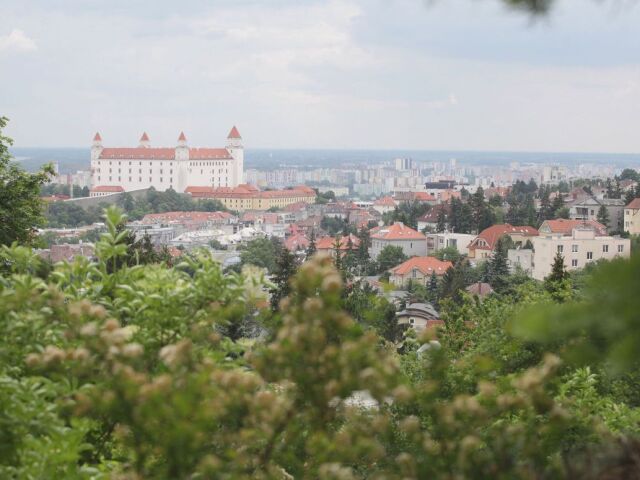Iuventa, Budkova 2, vyhlad na mesto, hrad, Bratislava