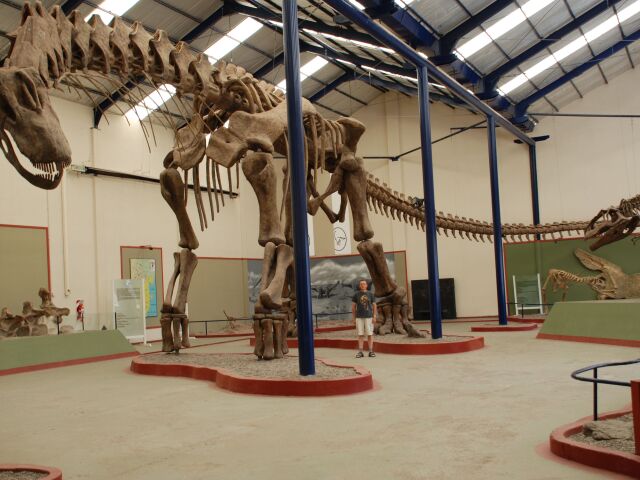 kundrat, dinosaurus