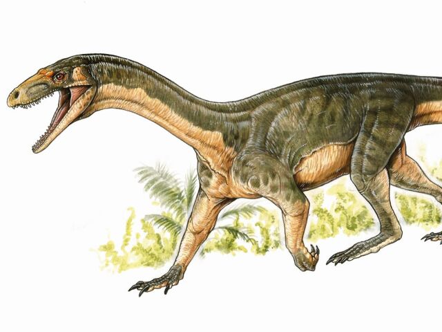 dinosaurus