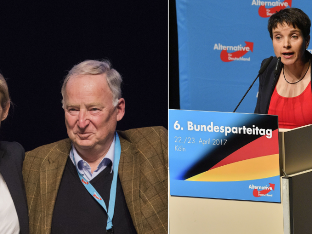 afd, gauland, petryová