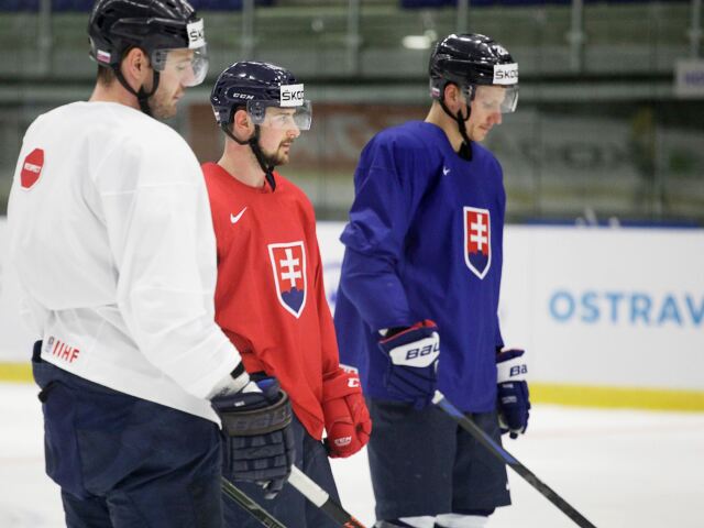 Tomáš tatar, richard pánik, andrej meszároš, slovensko