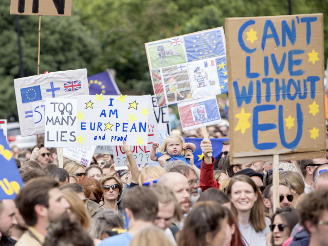 brexit, protesty