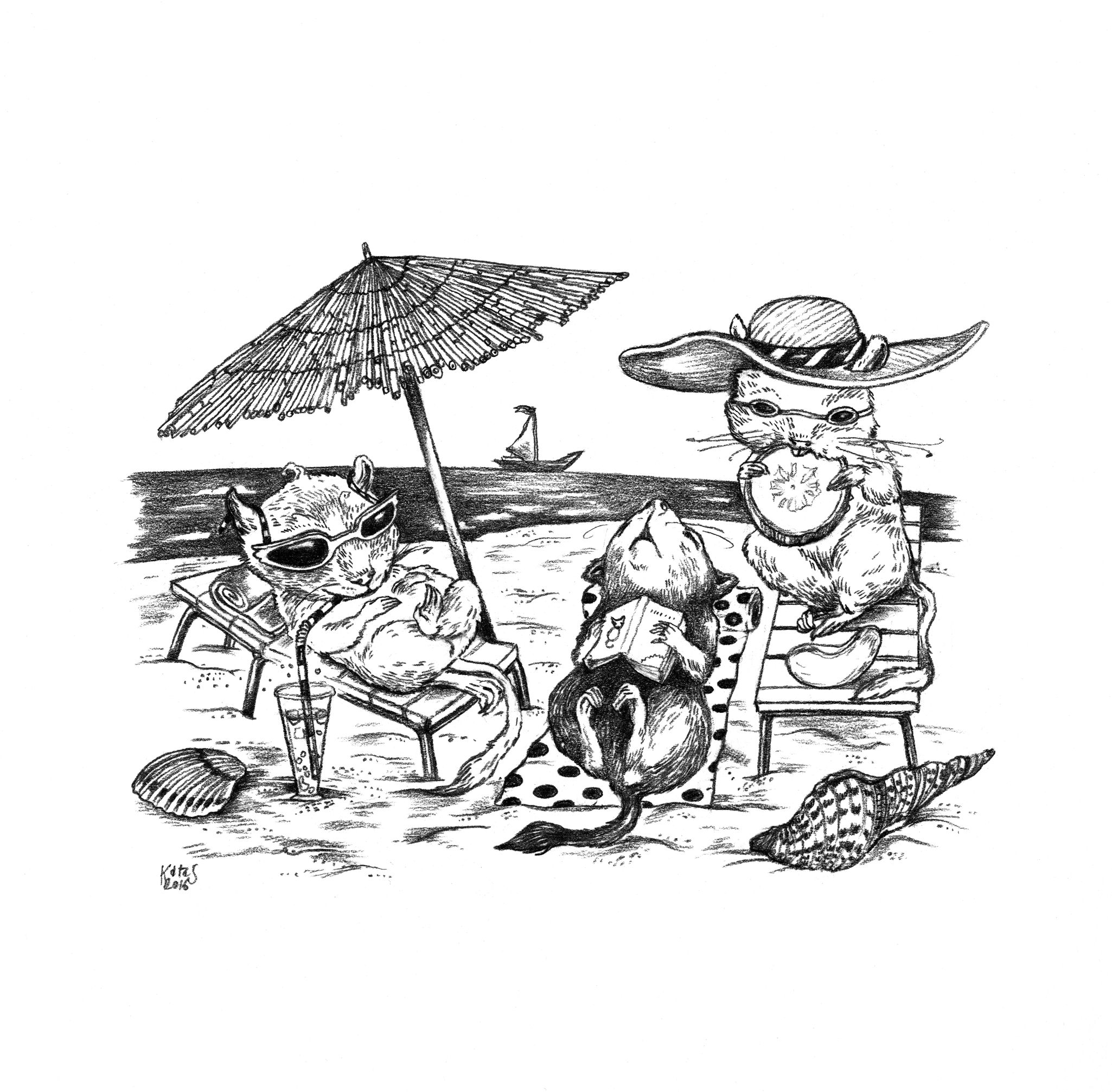 Ilustrácia z knihy Traja kamoši a fakticky fantastický poklad.