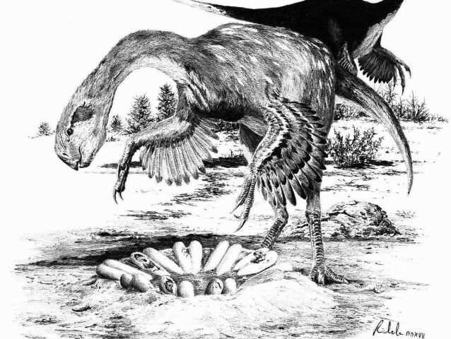 dinosaury