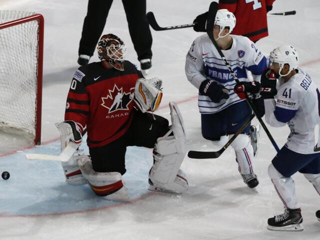 Chad Johnson, Damien Fleury